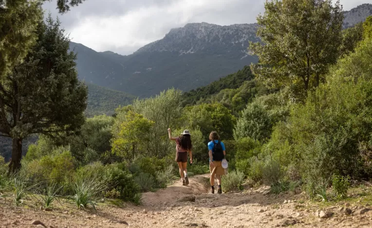 KEEN Leather | Boots | Men's Targhee II Waterproof Hiking Boot x Leave No Trace   |  Leave No Trace